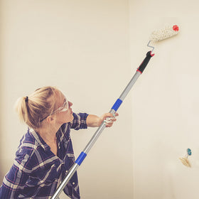 FLY HAWK no-ladder painting solution saves time on tall walls.