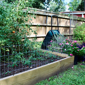 Forimo rabbit pen mesh 1inch creates safe yard runs.