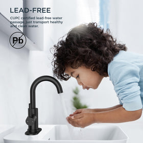 FORIOUS faucet includes cUPC supply line for safe, certified installation