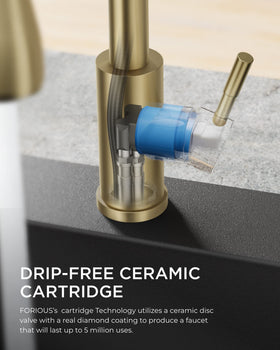 FORIOUS gold kitchen faucet deck-plate-10-inch illustrates versatile 1-3 hole installation.