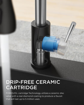 FORIOUS kitchen faucet detachable-deck-plate supports simple 1-3 hole installation