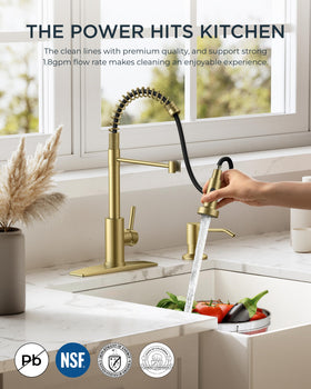 Forious dual-function faucet offers stream and spray modes for versatility.