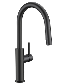 FORIOUS kitchen faucet with pull-down sprayer for versatile dishwashing