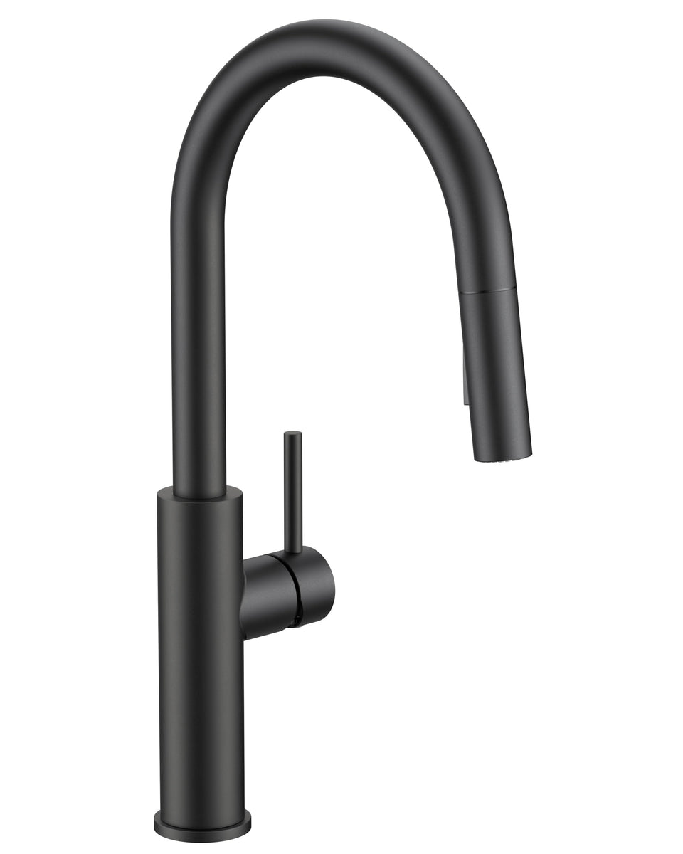FORIOUS kitchen faucet with pull-down sprayer for versatile dishwashing