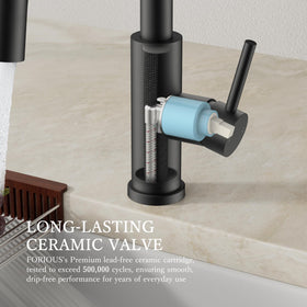 FORIOUS single-handle lever delivers smooth water control.