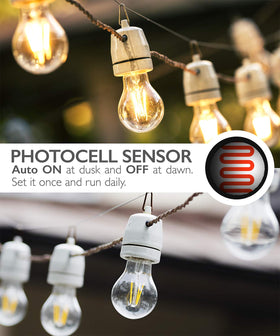 Fosmon wireless remote used to control outdoor outlets from indoors.