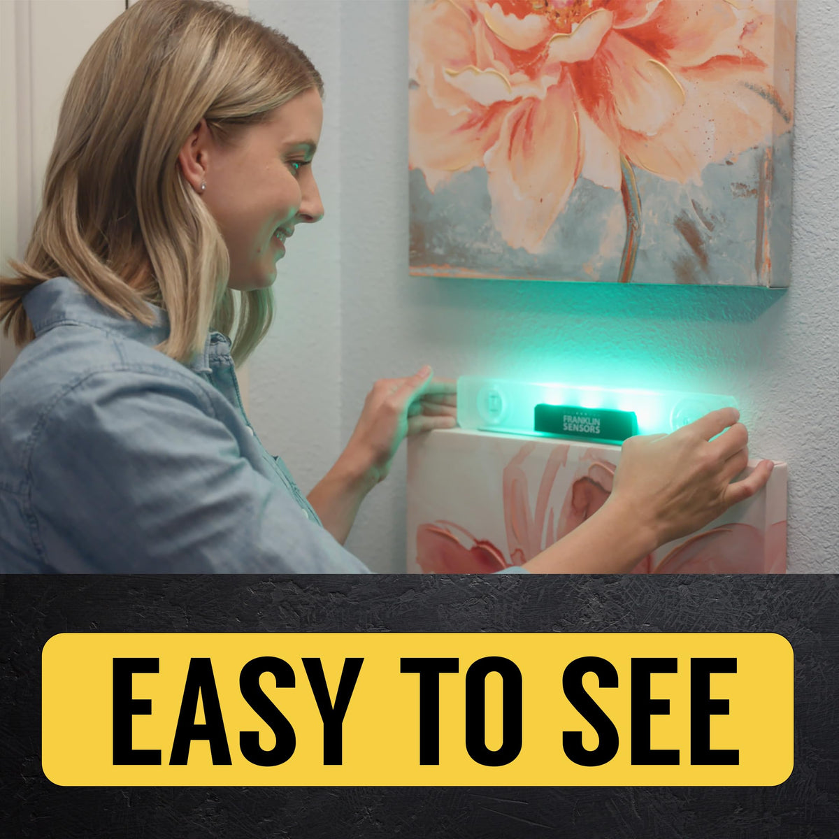 Franklin Sensors Light Level dual bubble vials provide quick vertical checks.