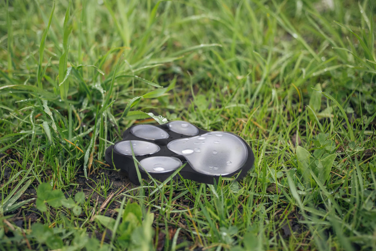 Freshnewlooks four-pack solar paw lights offer an easy outdoor upgrade