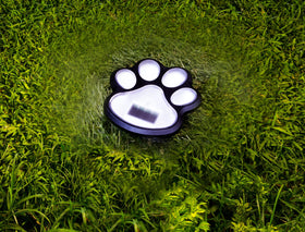 Freshnewlooks garden bed paw lights add color to borders and beds