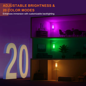 FRIDEKO HOME floor lamp with 2700K-6500K color range