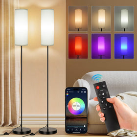 FRIDEKO HOME floor lamp with dimmable RGB colors enhances living room ambiance.