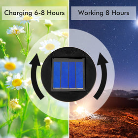 Frienda solar light top; automatic switch frees you from manual lighting.