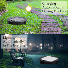 Frienda solar light top 85mm diameter helps you replace correctly.