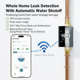 FRIZZLIFE LP365 app control screen enables remote monitoring and control.