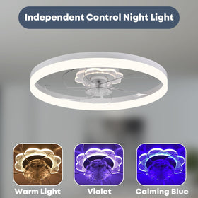 FSZDORJ ceiling fan with light and remote control for convenient operation.