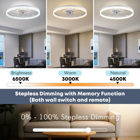 FSZDORJ 23.6-inch fan with night light offers adjustable ambient color.