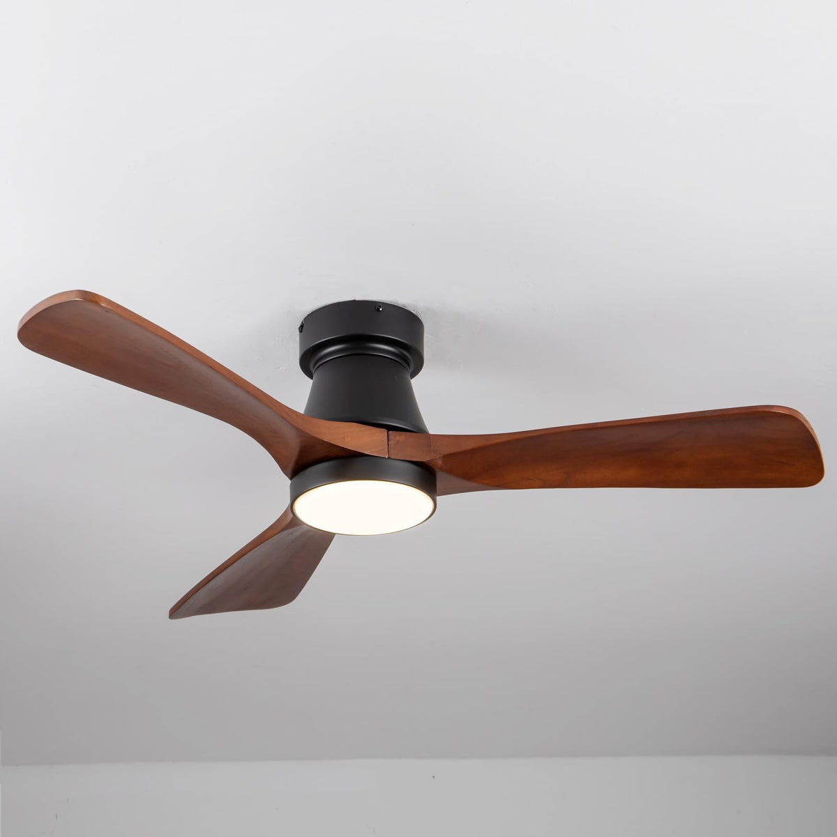 FUJIBONNY suitable for indoor and covered outdoor spaces