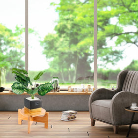 FUREEY stand packaged with eco-friendly materials for conscious shoppers