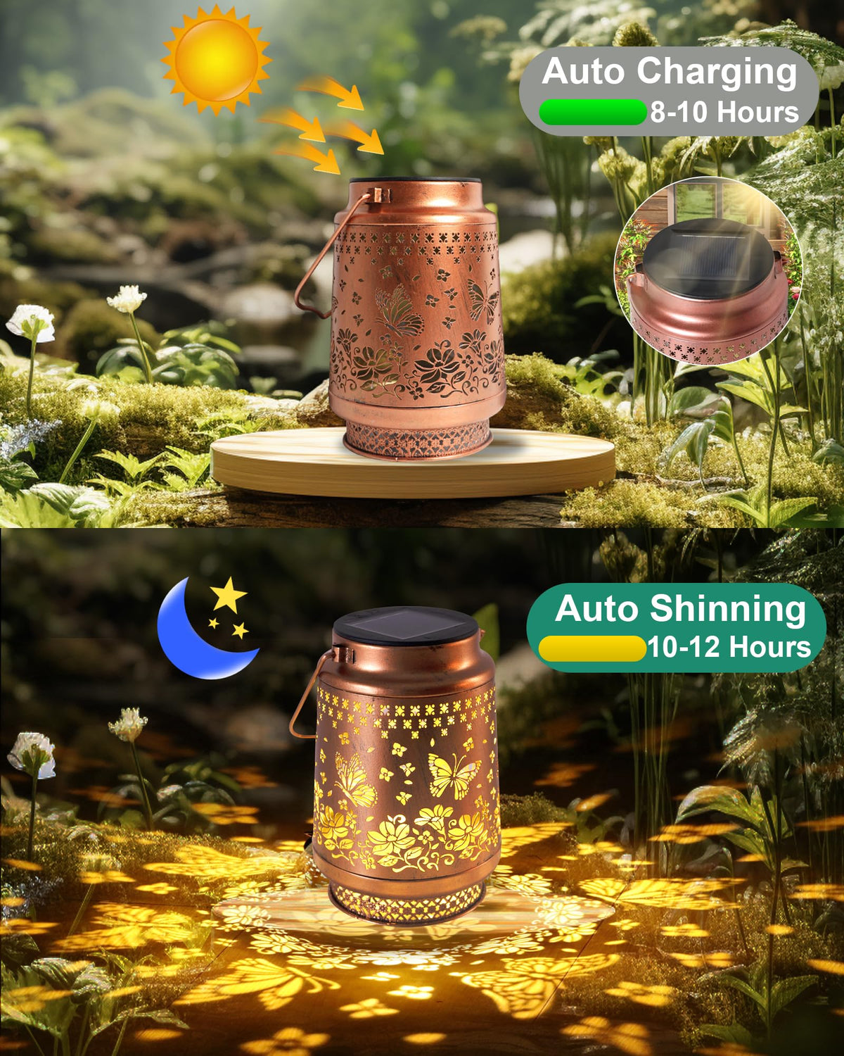 Fussion solar lanterns provide bright, energy-efficient illumination after sunset.