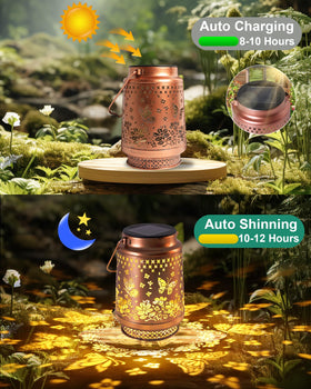 Fussion solar lanterns provide bright, energy-efficient illumination after sunset.