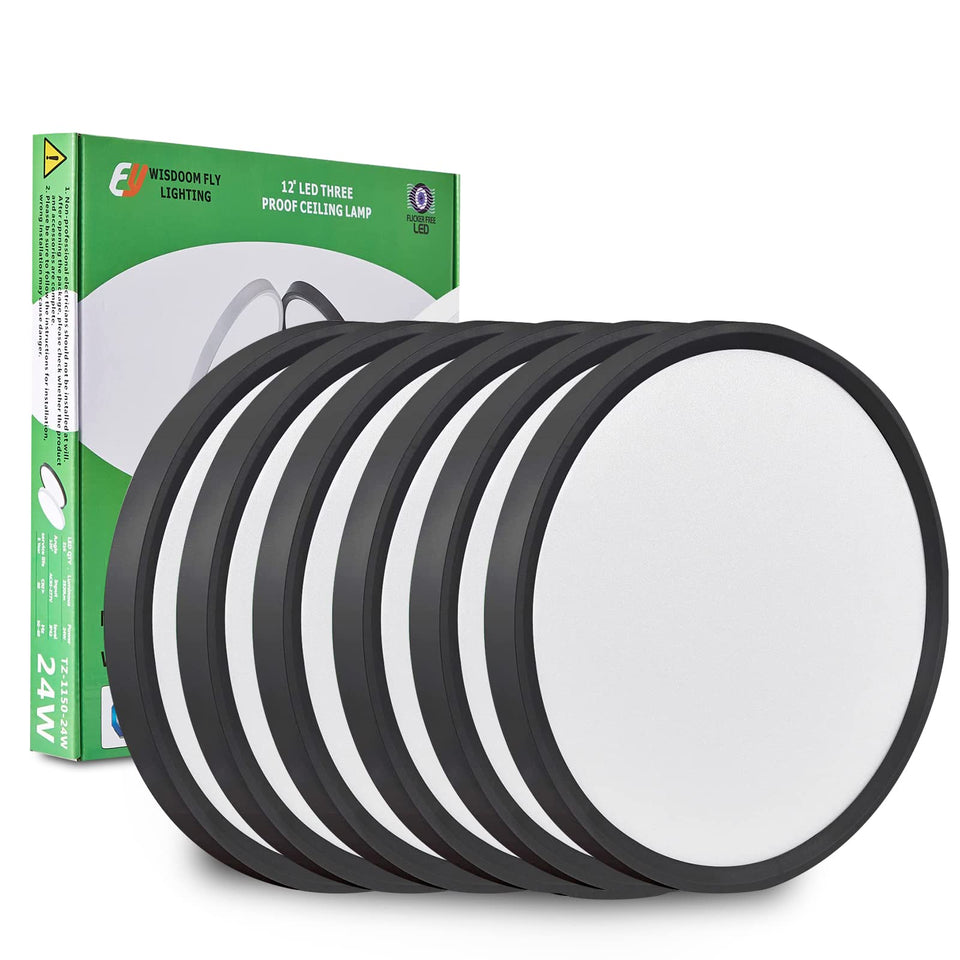FY Wisdom Fly Lighting 12-inch LED flush mount black front view enhances hallway brightness.