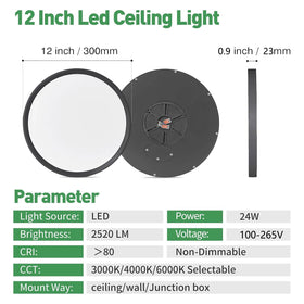 FY Wisdom Fly Lighting 12-inch LED flush mount black kitchen-dining area delivers even light.