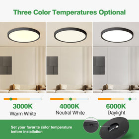 FY Wisdom Fly Lighting 12-inch LED flush mount black side angled view for modern spaces.