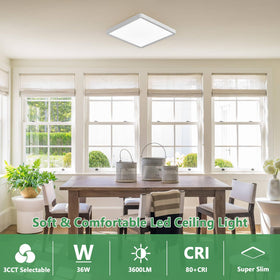 FY WISDOM FLY LIGHTING 4000K balanced task lighting close-up