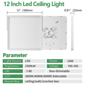 FY WISDOM FLY LIGHTING 12-inch square flush mount selectable-CCT showing 3000K/4000K/6000K versatility.