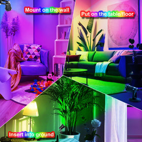 FZWLE decorative indoor lighting highlighting plants and artwork.