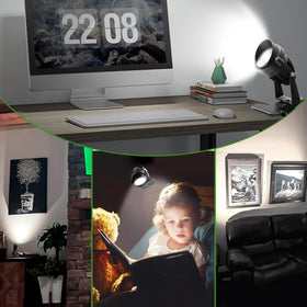 FZWLE 2-pack lights illuminate artwork with true color and crisp detail.