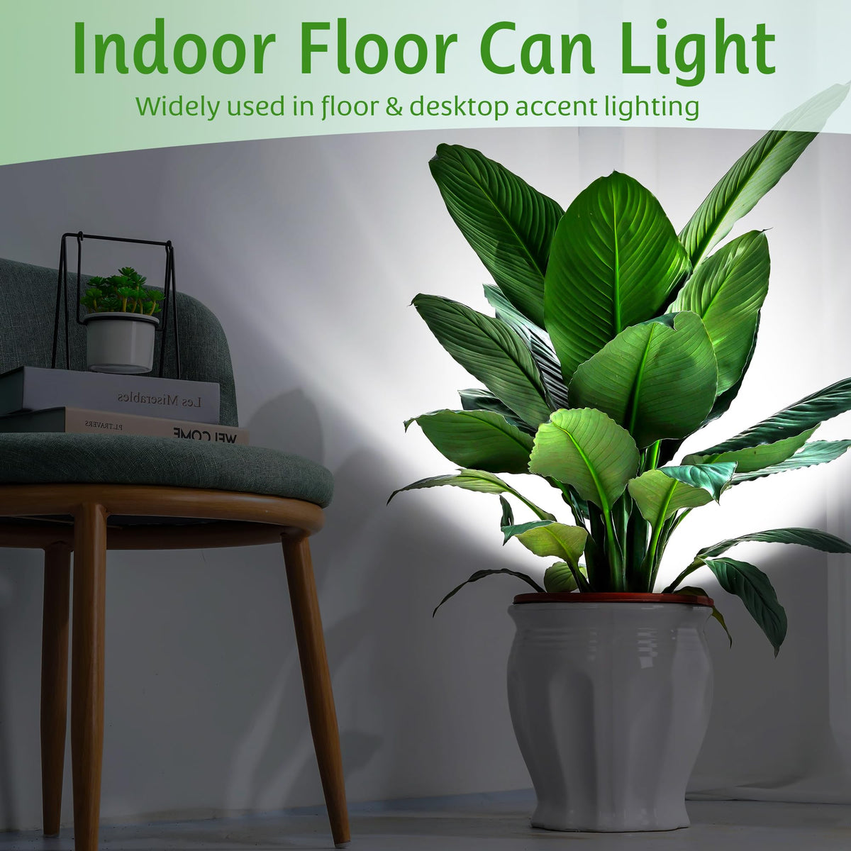FZWLE spot light 2-pack with switch for easy control during evening work.