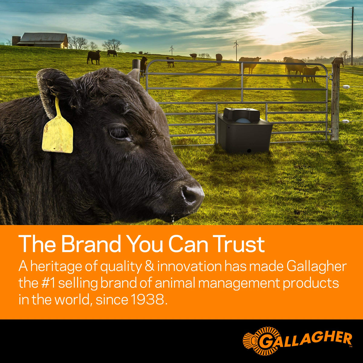 Gallagher Smartfix portable pocket design for on-site diagnostics