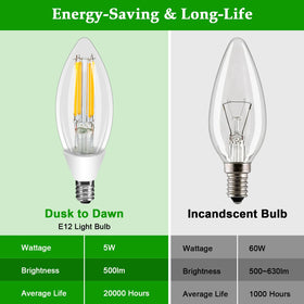 Ganiude E12 bulb for covered patios keeps entrances bright.