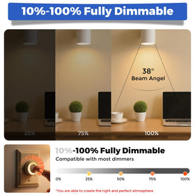 Gardencoin 12V GU5.3 bulb designed for indoor outdoor use.