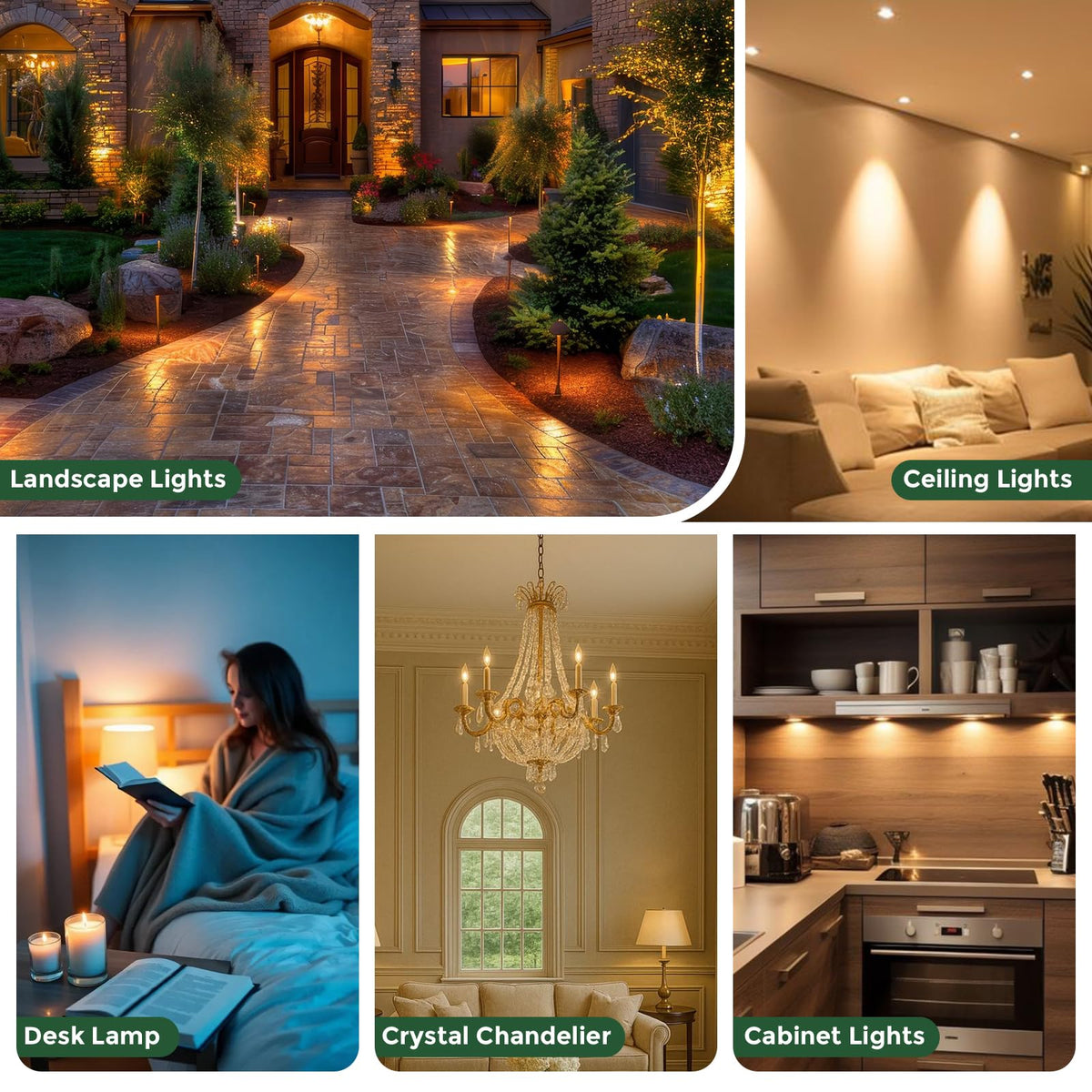 Gardencoin G4 LED bulb boasting a 30,000-hour lifespan.