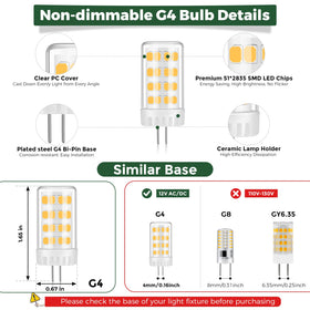 Gardencoin G4 LED bulb demonstrating a 360° beam for even illumination.