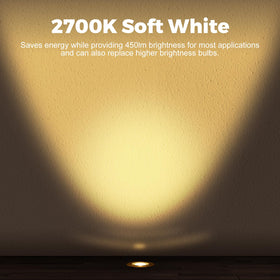 Gardencoin LED well light glass lens protects bulb while delivering clear light