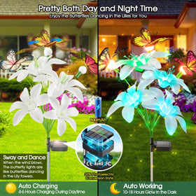Dancing stems create dynamic motion as breeze flows through your garden.
