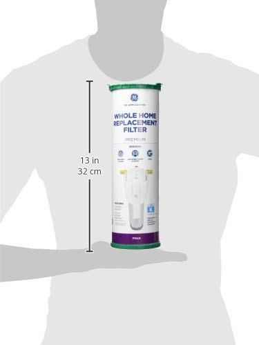 GE FTHLM provides whole-house filtration for tap water.