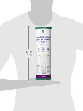 GE FTHLM provides whole-house filtration for tap water.