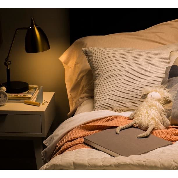 GE LED dimmable A19 works with most dimmers for customizable ambience.