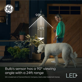GE LED+ weather-resistant PAR38 bulb endures rain for outdoor reliability