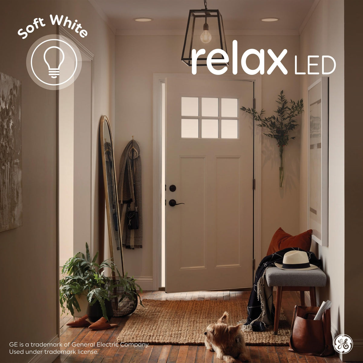 GE Relax HD glow enhances colors and contrast for vivid room visuals