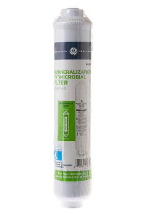 GE replacement filter single pack ready for easy annual swaps.