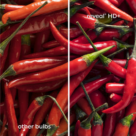 GE Reveal HD+ LED bulb longevity supports busy homes with long-lasting performance