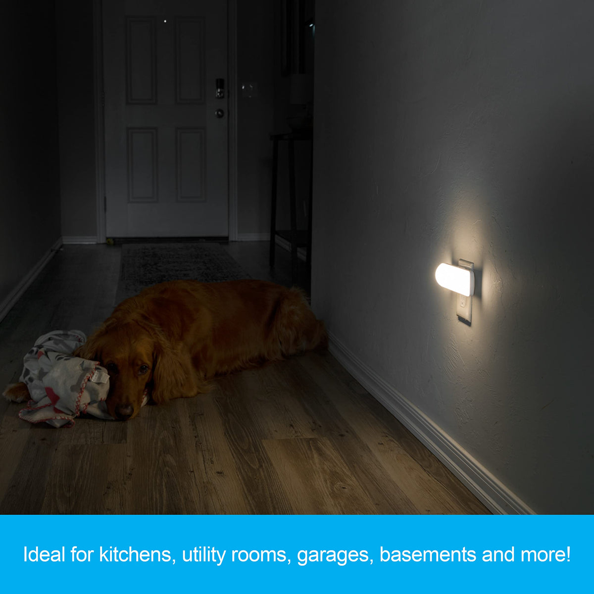 GE Ultrabrite two-level brightness supports late-night trips and quick checks