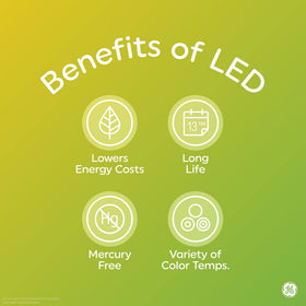 GE Vinta amber ST19 LED bulb suitable for damp locations