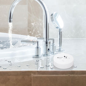 Geevon detectors installed in kitchen or bathroom for proactive alerts.