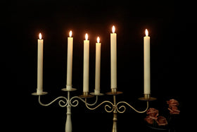 GenSwin ivory taper candle with 3D wick flicker enhances romantic dinners